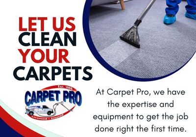 The Importance of Professional Carpet Cleaning.