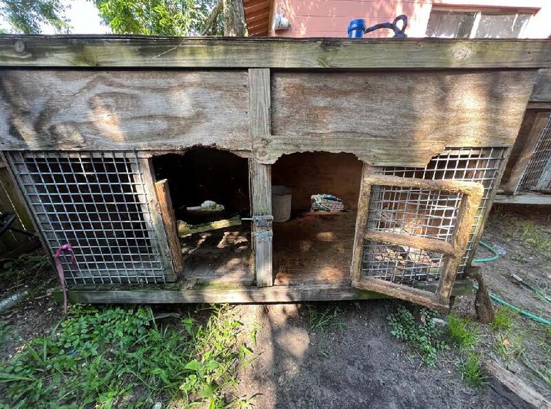 Inhumane dog fighting ring exposed in Daytona Beach; animals rescued.