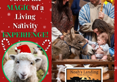 Unveil the Magic of a Living Nativity Experience with Noah's Landing Mobile Petting Zoo