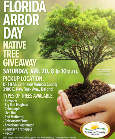 Volusia County to commemorate Florida Arbor Day with tree giveaway event.