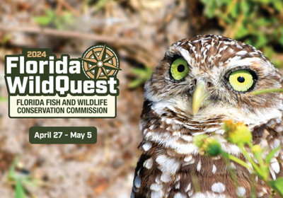 Florida WildQuest 2024