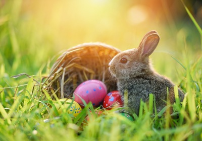 Children’s Easter Egg Hunt Party