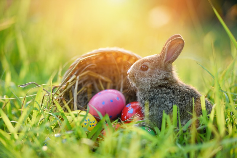 Children’s Easter Egg Hunt Party