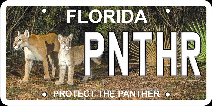 New Panther License Plate Available