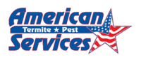 american services