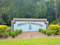 indigo plantation