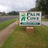 palm grove