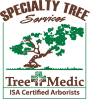 specialty tree