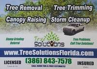 treee solutions